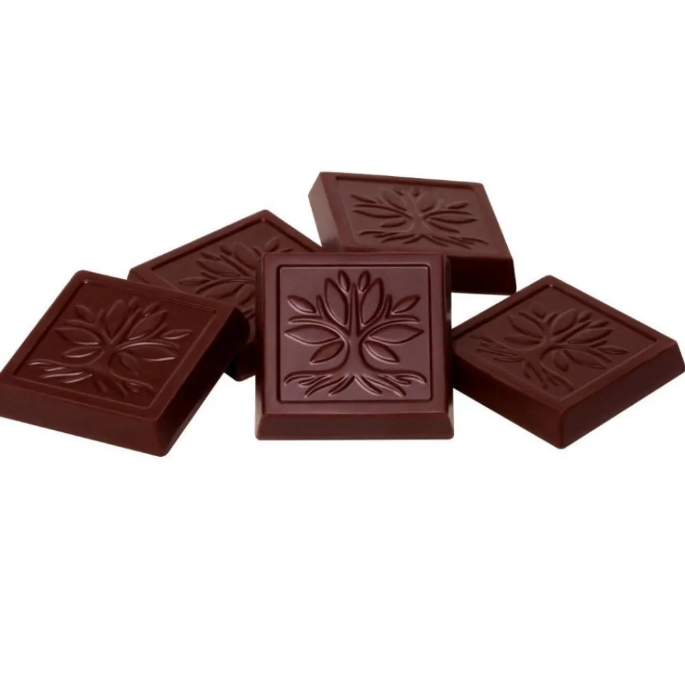 The Shops at Mount Vernon American Heritage Chocolate Tasting Square