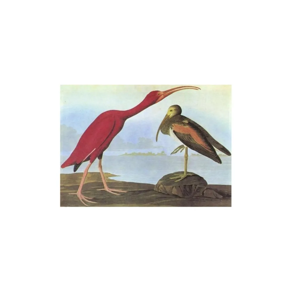 W.W. NORTON & CO. Birds of America - Tiny Folio