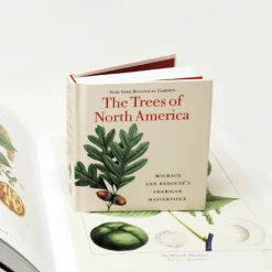 W.W. NORTON & CO. Trees of North America - Tiny Folio
